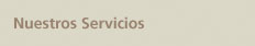 servicio comida para fiestas